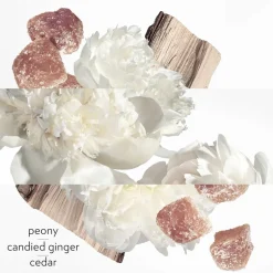TWILLY D'HERMÈS EAU GINGER EAU DE PARFUM