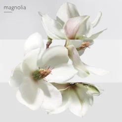 Un Jardin Sur la Lagune Eau de toilette