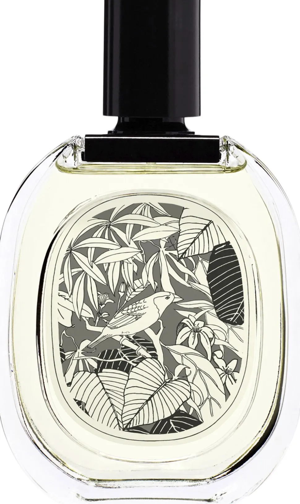 Vetyverio Eau de Toilette