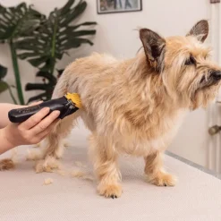 WAHL Hundeklipper Colour Pro