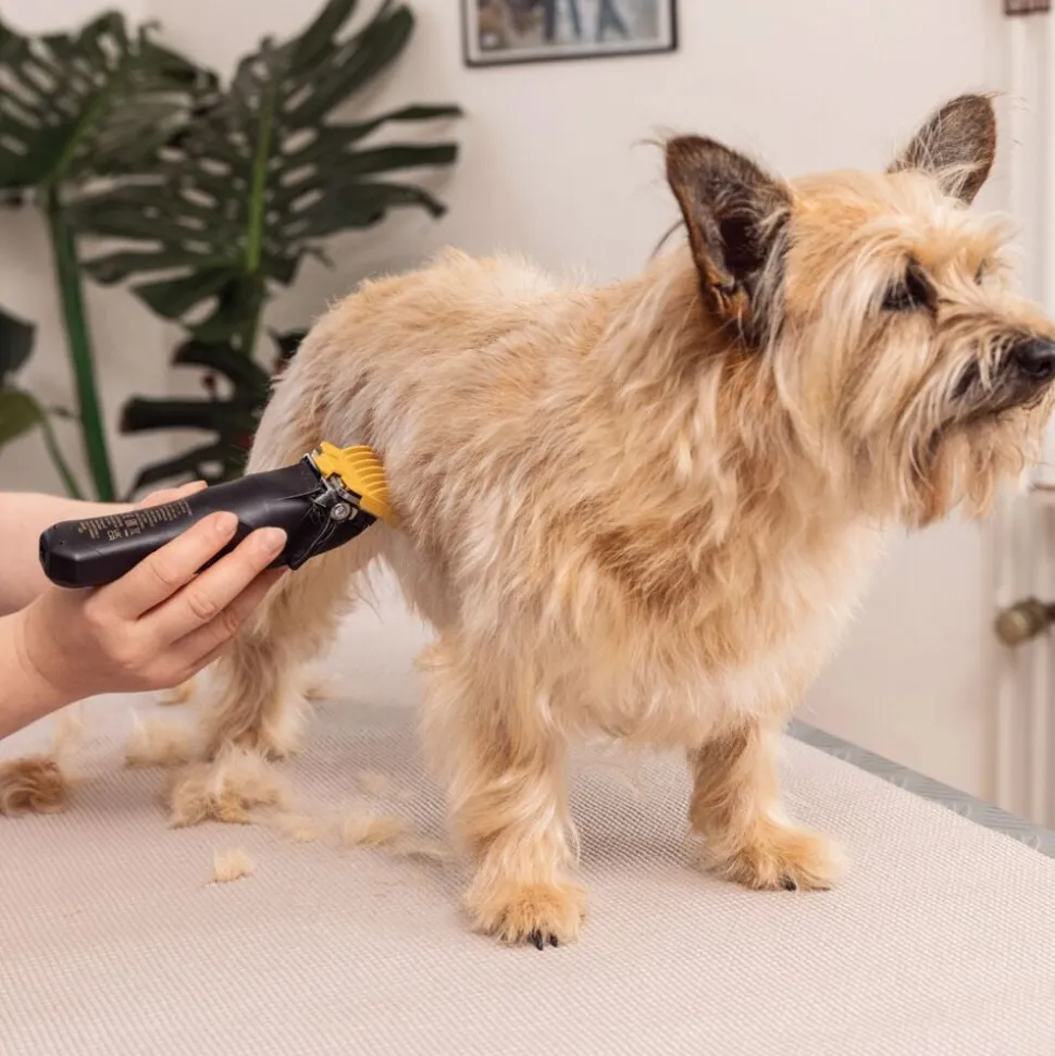 WAHL Hundeklipper Colour Pro