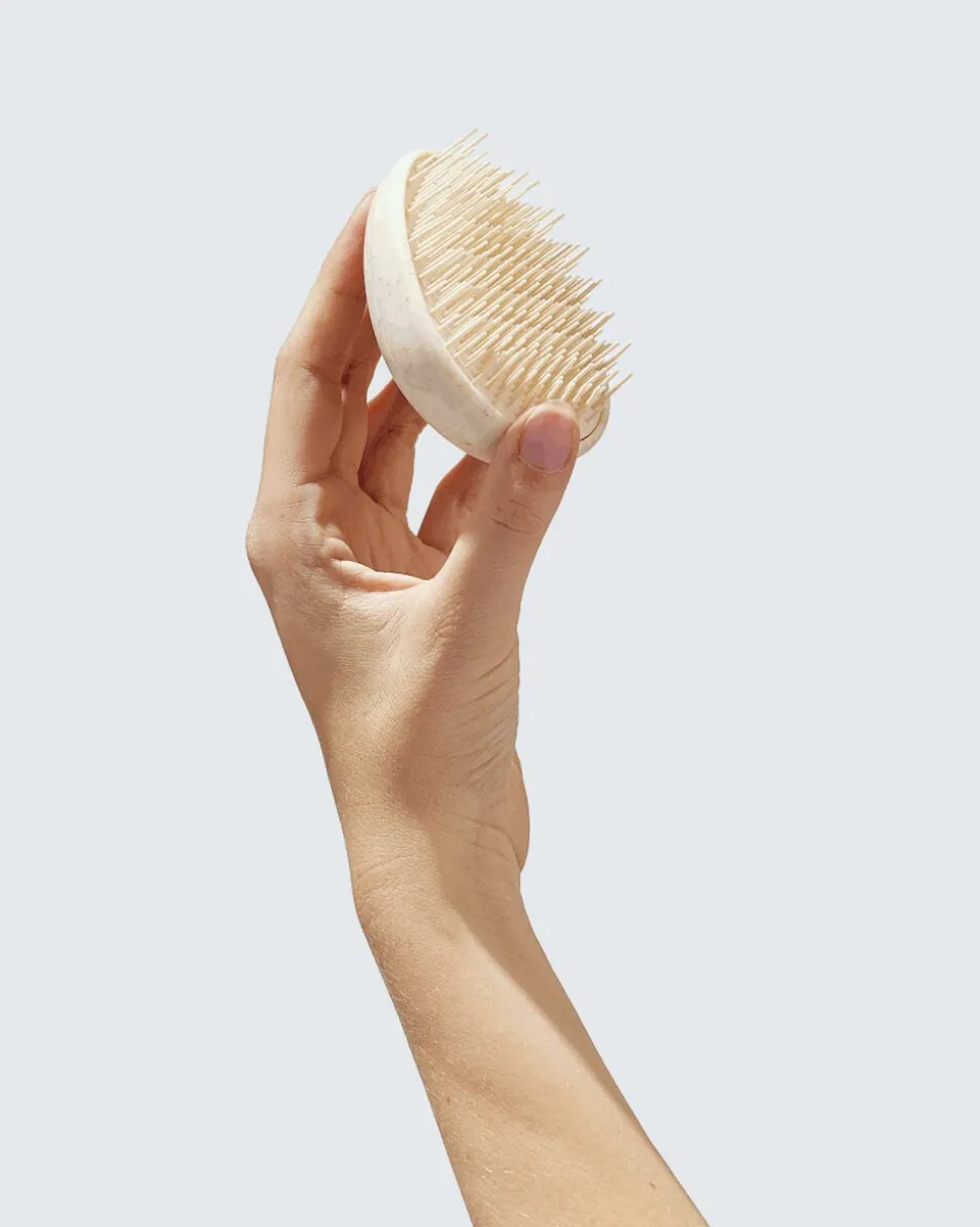 Wet Hair Detangler Brush, White