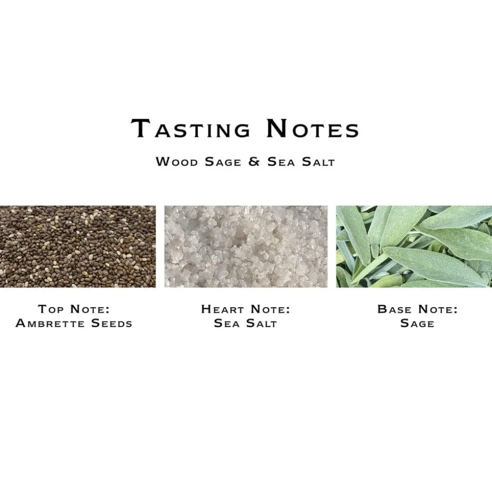 Wood Sage & Sea Salt Scented Classic Candle