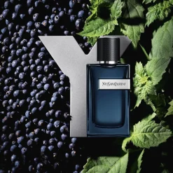 Yves Saint Laurent Y Eau de Parfum Intense