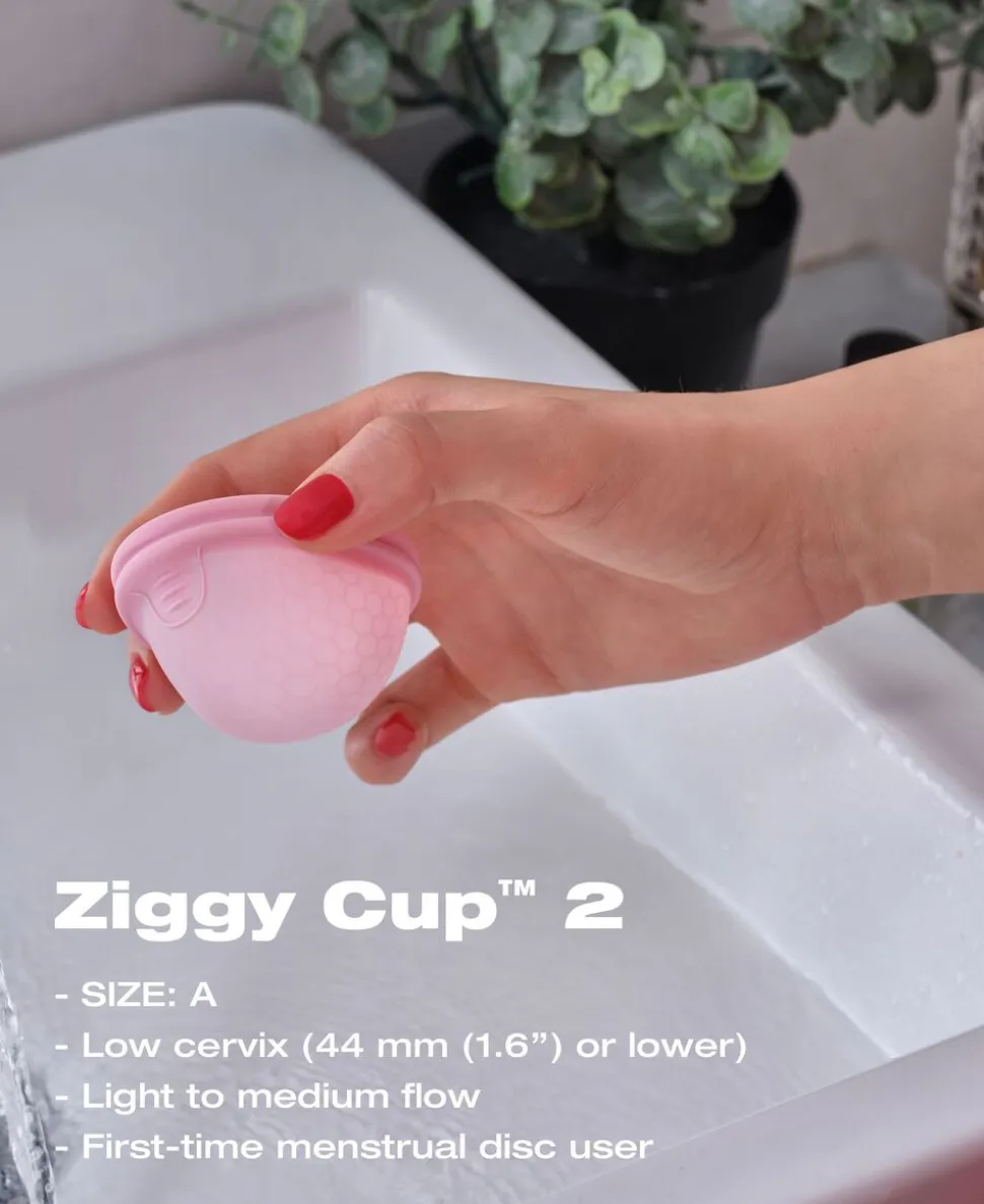 Ziggy Cup 2 Size A