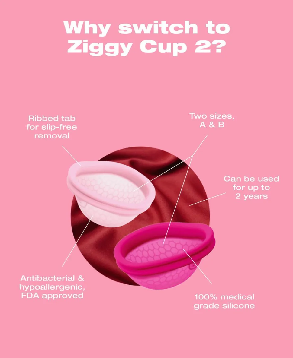 Ziggy Cup 2 Size A